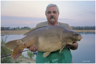 Carpe cuir de 17 kg