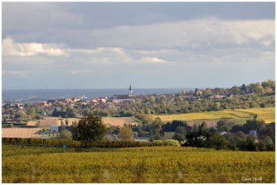 Bischoffsheim