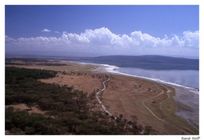 Lake Nakuru