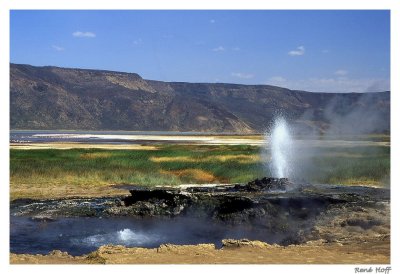 Geyser Bogoria lake