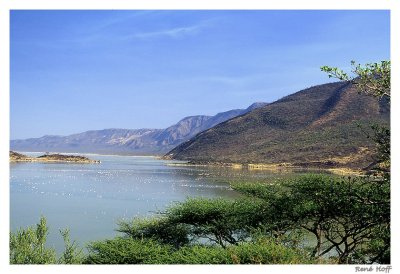 Lake Bogoria