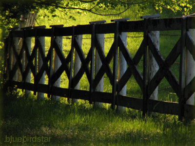 Fenceposts, USA countryside