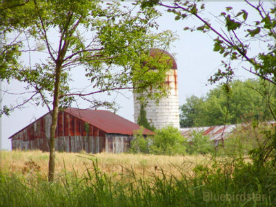 Barn and Silo