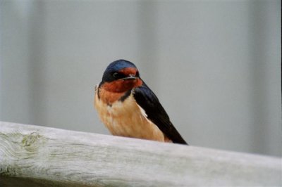 7-5-05 852 Small.jpg