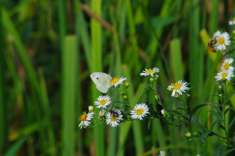 D3B_2534.JPG