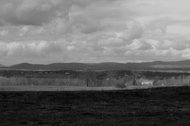 D3B_4521bw.jpg