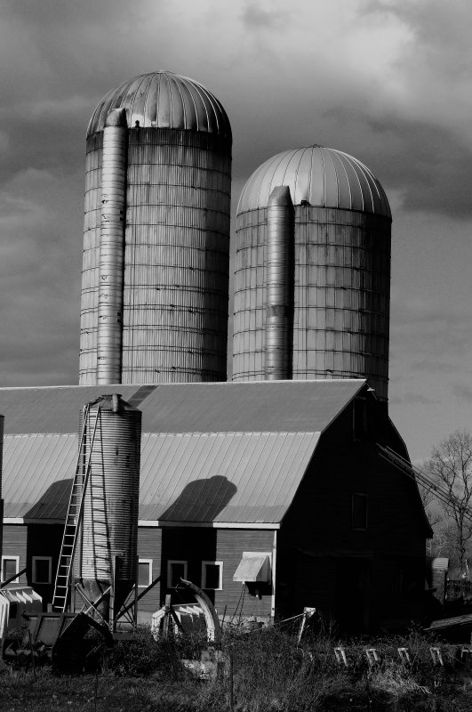 D3B_4524bw.jpg