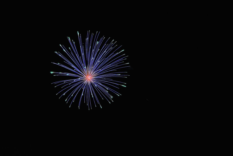 D2B_2255nx.jpg