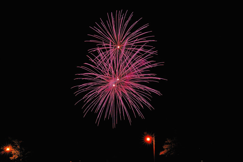 D2B_2942nx.jpg