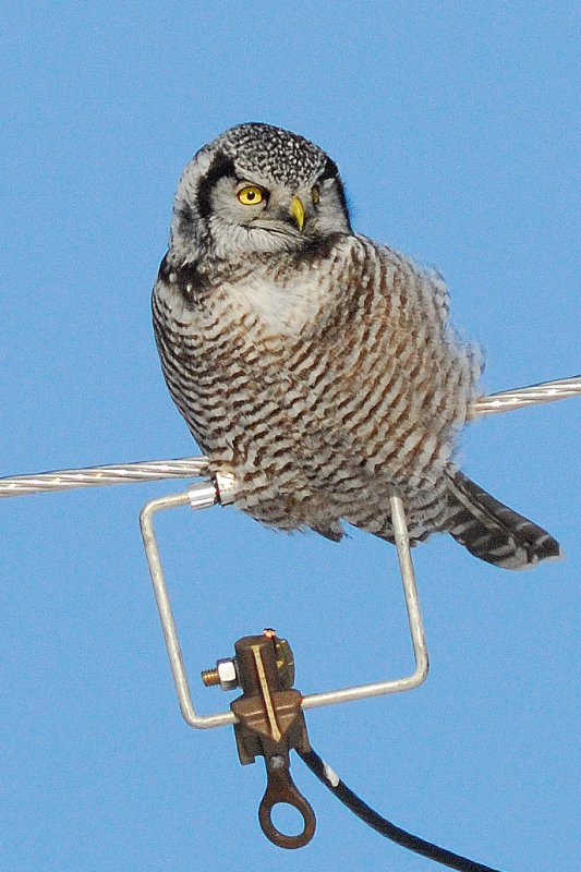 AAG_5026nx.jpg