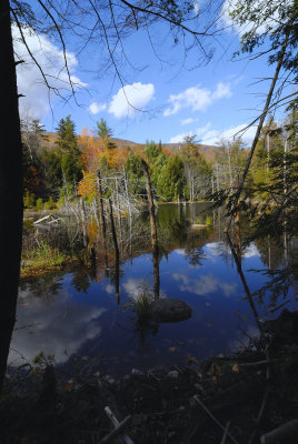Beaverless  Pond