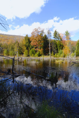 Beaverless Pond