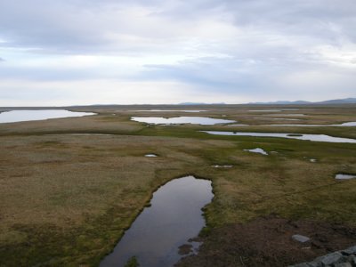 Kusttundran vid Nome