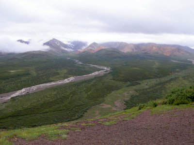 Polychrome Pass, Denali N. P.
