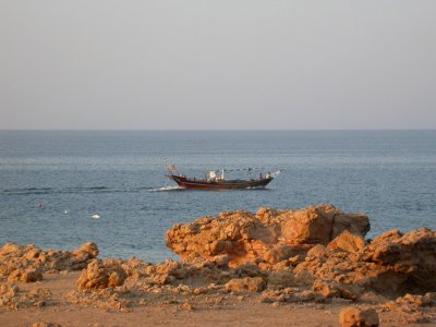Fiskebt, Ras al Hadd