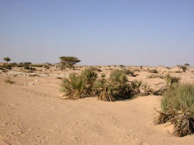 Wadi Rabkut