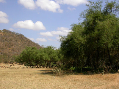 Wadi Darbat