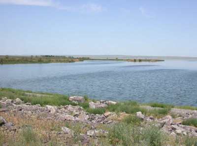 Sorbulak Lake, vid hckkolonin fr rosenstarar