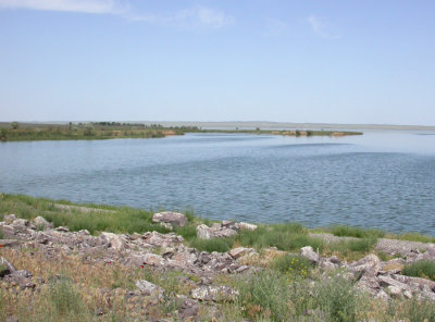 Sorbulak Lake, vid häckkolonin för rosenstarar