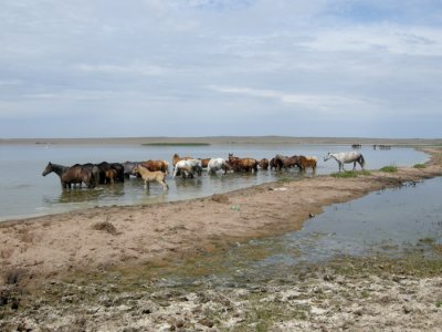 Sorbulak Lake