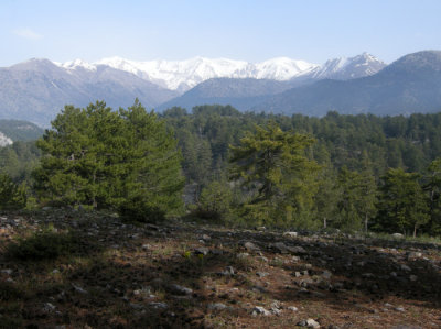 Kandil Siirt