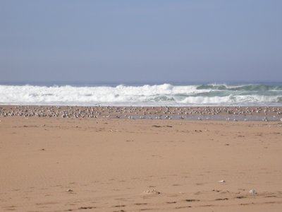 Stranden utanfr Oued Massa