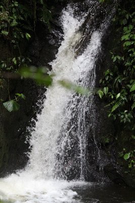 IMG_3830.JPG