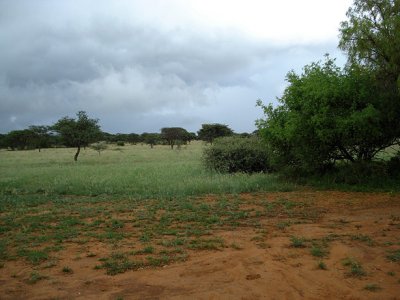 DSC02395.JPG