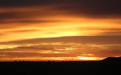IMG_0500.JPG