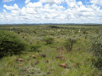 Magersfontein Battlefield 02424.JPG