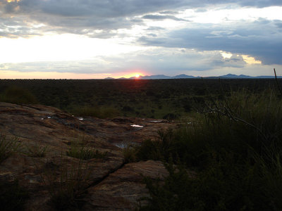DSC02526.JPG