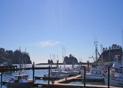 La Push Harbor