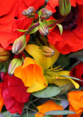 Red, Yellow Market Flowers