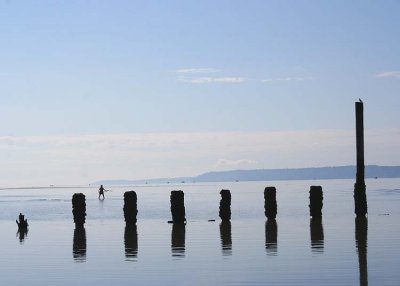 Paddling Beyond the Pilings