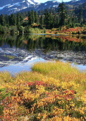 03 Fall at Picture Lake