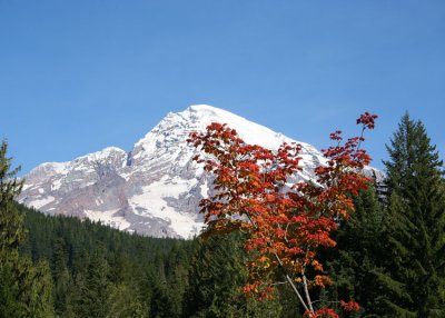 Mt. Rainier October