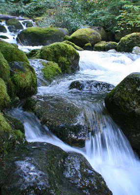 29 Rocks, Moss, Water