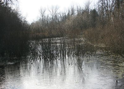 Snake Lake Winter
