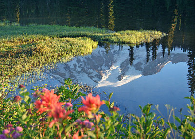 34 mountain reflection flowers