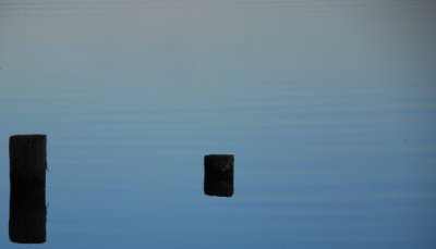 REFLECTING POLES