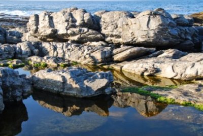 HERMANUS.jpg