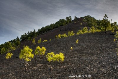 20111210_PVC_D90__0009_10_11_tonemapped.jpg