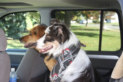 Going For A Ride!