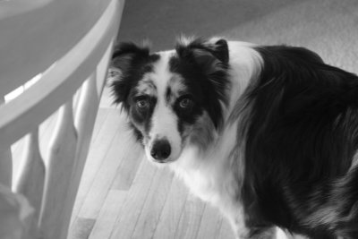 Max