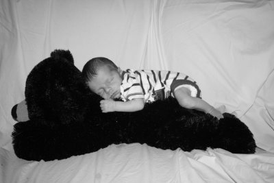 Aiden & Bear