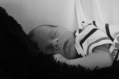 Aiden  & Bear