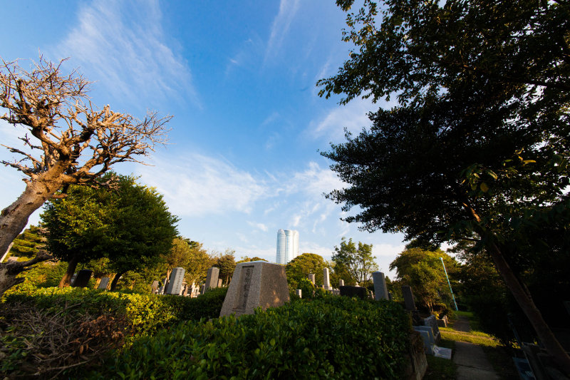 Jokichi Takemines Grave at Aoyama Cemetary