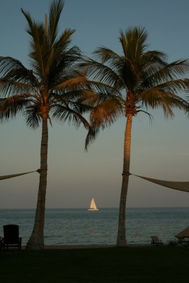 IMG_1094.jpg