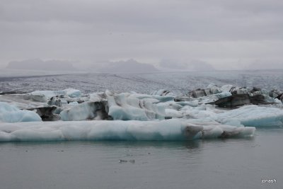 veidi_2010