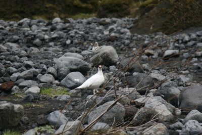 IMG_4650.JPG